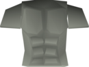 Fighter Torso