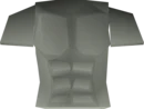 Fighter Torso